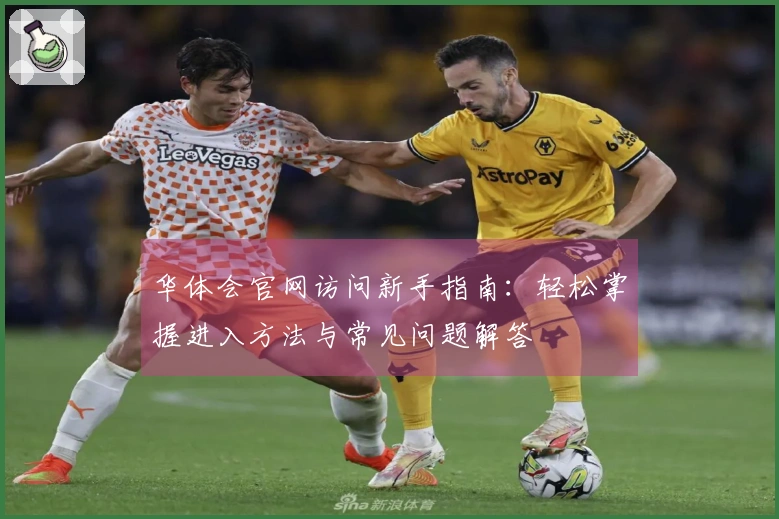 华体会官网访问新手指南：轻松掌握进入方法与常见问题解答